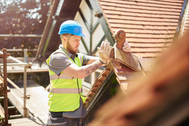 Roof Gutter Cleaning in White Oak, TX
